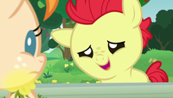 Size: 1280x720 | Tagged: safe, imported from derpibooru, screencap, bright mac, pear butter, earth pony, pony, season 7, the perfect pear, baby, baby pony, brightabetes, colt, cute, female, fence, filly, flower, looking at each other, male, open mouth, open smile, smiling