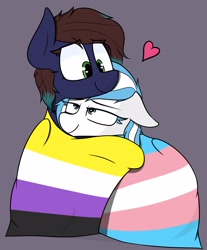 Size: 2331x2812 | Tagged: safe, artist:pinkberry, imported from derpibooru, oc, oc only, oc:contrail skies, oc:slumber, pony, duo, floppy ears, heart, high res, hug, nonbinary pride flag, pride, pride flag, transgender pride flag