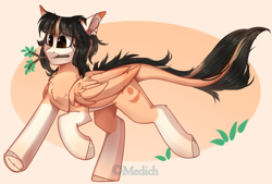 Size: 2510x1692 | Tagged: safe, artist:mediasmile666, imported from derpibooru, oc, oc only, pegasus, pony, abstract background, coat markings, female, leonine tail, mare, mouth hold, socks (coat markings), solo, underhoof