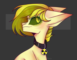 Size: 3839x3000 | Tagged: safe, artist:auss1, imported from derpibooru, oc, oc only, earth pony, pony, abstract background, bust, collar, earth pony oc, high res, signature, smiling, solo