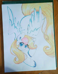 Size: 996x1280 | Tagged: safe, artist:inkie-heart, imported from derpibooru, oc, oc only, oc:inkie heart, pegasus, pony, ask inkie heart, long tail, looking at you, pegasus oc, solo, tail, traditional art