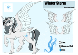 Size: 4961x3508 | Tagged: safe, artist:oneiria-fylakas, imported from derpibooru, oc, oc only, oc:winter storm, alicorn, pony, female, mare, reference sheet, solo