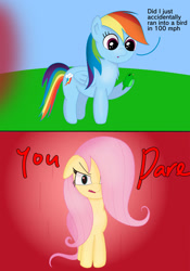 Size: 1280x1832 | Tagged: safe, artist:limitmj, imported from derpibooru, fluttershy, rainbow dash, bird, pegasus, pony, angry, duo, female, flutterrage, grammar error, hair over one eye, mare, rage