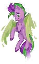 Size: 850x1400 | Tagged: safe, artist:funky_furs, artist:funkyfurs, imported from derpibooru, spike, pegasus, pony, a pony named spike, colored hooves, flying, it begins, male, open mouth, open smile, ponified, ponified spike, pony named spike, simple background, smiling, solo, species swap, spread wings, stallion, white background, wings