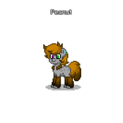 Size: 400x400 | Tagged: safe, artist:robertepsc4, imported from derpibooru, oc, oc:peanutmear, pony, pony town, clothes, cute, ethanepsc4, girly, leg warmers, male, reference