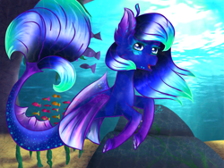 Size: 800x600 | Tagged: safe, artist:miracrystalsketch, imported from derpibooru, oc, oc only, fish, merpony, pegasus, pony, seapony (g4), blue mane, blue tail, dorsal fin, ear fluff, eyelashes, female, fin wings, fins, flowing mane, flowing tail, looking at you, ocean, open mouth, rock, seaponified, seaweed, smiling, solo, species swap, sunlight, swimming, tail, underwater, water, wings