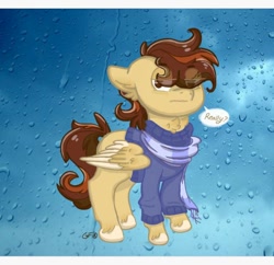 Size: 866x840 | Tagged: safe, artist:gravityfox10, imported from derpibooru, oc, oc only, pegasus, pony, clothes, hair over eyes, pegasus oc, rain, scarf, talking, talking to viewer, two toned wings, unshorn fetlocks, wings