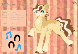 Size: 3500x2454 | Tagged: safe, artist:nobleclay, imported from derpibooru, oc, oc only, oc:fluffernutter sandwich, earth pony, pony, chest fluff, coat markings, facial markings, high res, looking at you, male, markings, offspring, parent:cheese sandwich, parent:pinkie pie, parents:cheesepie, reference sheet, snip (coat marking), socks (coat markings), solo, stallion, unshorn fetlocks