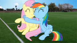 Size: 1366x768 | Tagged: safe, imported from derpibooru, fluttershy, rainbow dash, pegasus, pony, daytime, eyes closed, female, hug, mare, vector