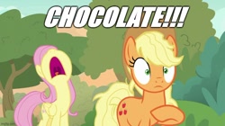Size: 888x499 | Tagged: safe, artist:megalobronia, edit, edited screencap, imported from derpibooru, screencap, applejack, fluttershy, earth pony, pegasus, pony, season 8, sounds of silence, spoiler:s08, applejack's hat, caption, chocolate with nuts, cowboy hat, duo, duo female, female, hat, image macro, imgflip, mare, meme, messy mane, nose in the air, open mouth, out of character, shocked, spongebob squarepants, text, volumetric mouth, yelling
