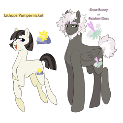 Size: 2048x2048 | Tagged: safe, artist:aztrial, imported from derpibooru, oc, oc:feather duster, oc:lithops pumpernickel, earth pony, pegasus, beard, description is relevant, facial hair, headcanon in the description, high res, offspring, parent:maud pie, parent:mud briar, parents:maudbriar