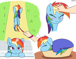 Size: 1900x1473 | Tagged: safe, artist:irisarco, imported from derpibooru, rainbow dash, human, pegasus, pony, :3, :<, basket, bathroom, bathtub, blanket, blushing, cropped, cute, cutie mark, dashabetes, day, desk, dialogue, dock, ear fluff, eyes closed, feathered wings, female, floppy ears, frown, grass, head pat, human on pony petting, indoors, leash, lidded eyes, looking at you, lying down, offscreen character, onomatopoeia, outdoors, pat, path, pet bed, pet-dash, petting, pony pet, pov, sleeping, smiling, sound effects, tail, unamused, walking, water, watermark, wet, wings, zzz