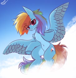 Size: 1000x1024 | Tagged: dead source, safe, artist:hydrargyrum, imported from derpibooru, rainbow dash, pegasus, pony, belly, belly button, chest fluff, cloud, facial markings, feathered wings, looking at you, pale belly, shoulder fluff, sky, solo, spread wings, underhoof, wings