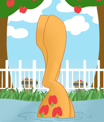 Size: 1500x1750 | Tagged: safe, artist:cycrus, imported from derpibooru, applejack, earth pony, pony, apple, apple tree, bucket, female, fence, fetish, food, hoof fetish, legs, legs in air, mare, pictures of legs, solo, tree, water