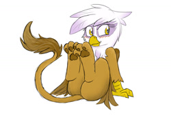 Size: 1280x859 | Tagged: safe, artist:pzkratzer, imported from derpibooru, gilda, griffon, blushing, butt, cute, gildonk, lying down, on back, paw pads, paws, plot, sketch, underpaw