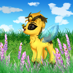 Size: 2000x2000 | Tagged: safe, artist:splashofsweet, imported from derpibooru, oc, oc only, bee, bee pony, insect, original species, pony, female, field, flower, high res, meadow, scenery, solo