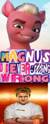 Size: 618x1532 | Tagged: safe, editor:horsesplease, imported from derpibooru, sprout cloverleaf, caption, chaos (warhammer 40k), expand dong, exploitable meme, g5, gordon ramsay, image macro, magnus did nothing wrong, magnus the red, meme, red, sad sprout, sprout (g5), sprout the red, text, warhammer (game), warhammer 40k