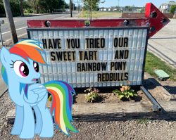 Size: 1897x1507 | Tagged: safe, imported from derpibooru, rainbow dash, pony, energy drink, implied murder, irl, photo, ponies in real life, red bull, sign