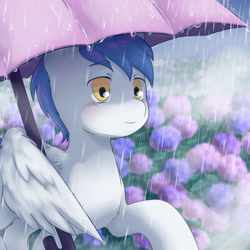 Size: 1280x1279 | Tagged: safe, artist:aquoquoo, imported from derpibooru, brolly, whitewash, pegasus, pony, male, rain, solo, stallion, umbrella, wing hold