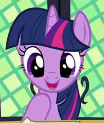 Size: 427x505 | Tagged: safe, imported from derpibooru, screencap, twilight sparkle, alicorn, pony, once upon a zeppelin, season 7, cropped, cute, female, hoof on chest, mare, open mouth, open smile, smiling, solo, twiabetes, twilight sparkle (alicorn), twilight's castle