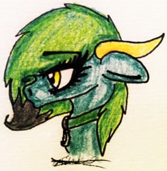 Size: 2215x2274 | Tagged: safe, artist:beamybutt, imported from derpibooru, oc, oc only, earth pony, pony, bust, earth pony oc, eyelashes, female, high res, mare, signature, solo, traditional art