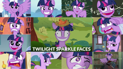 Size: 1280x720 | Tagged: safe, edit, edited screencap, editor:quoterific, imported from derpibooru, screencap, spike, twilight sparkle, alicorn, bird, dragon, pony, unicorn, a trivial pursuit, best gift ever, castle mane-ia, friendship is magic, horse play, lesson zero, party pooped, rarity takes manehattan, secret of my excess, sparkle's seven, the times they are a changeling, to where and back again, what lies beneath, angry, bag, book, chalkboard, crown, cute, derp, derp face, duo, eyes closed, faic, female, floppy ears, flying, friendship express, golden oaks library, gritted teeth, hard-won helm of the sibling supreme, male, mare, messy mane, nest, one eye closed, open mouth, pudding face, saddle bag, smiling, smug, smuglight sparkle, solo, spread wings, sugarcube corner, teeth, that pony sure does love books, this is trivia trot, train station, twiabetes, twilight snapple, twilight sparkle (alicorn), twilight's castle, unicorn twilight, winged spike, wings