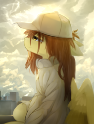 Size: 1900x2500 | Tagged: safe, artist:ssnerdy, imported from derpibooru, oc, oc only, pegasus, pony, cap, city, clothes, floppy ears, hat, lidded eyes, sitting, sweater