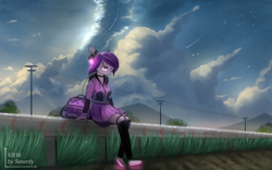 Size: 2560x1600 | Tagged: safe, artist:ssnerdy, imported from derpibooru, oc, oc only, anthro, plantigrade anthro, bag, clothes, cloud, female, hoodie, lidded eyes, power line, scenery, shoes, sitting, skirt, solo, stars