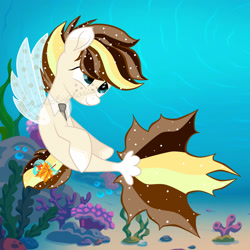 Size: 2000x2000 | Tagged: safe, artist:cosmiceuphoria, imported from derpibooru, oc, oc only, pegasus, pony, seapony (g4), blue eyes, clothes, coral, crepuscular rays, dorsal fin, fin wings, fish tail, freckles, high res, ocean, seaponified, seaweed, see-through, smiling, solo, species swap, tail, underwater, water, wings