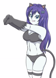 Size: 1653x2283 | Tagged: safe, artist:sumin6301, imported from twibooru, rarity, cat, equestria girls, alternate hairstyle, animal costume, breasts, busty rarity, cat costume, cat ears, cat tail, catgirl, clothes, costume, underwear