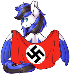 Size: 1749x1845 | Tagged: safe, artist:ak4neh, edit, editor:drtoughlove, imported from twibooru, oc, oc only, oc:black ice, pegasus, pony, banned from derpibooru, clothes, cute, female, flag, looking at you, mare, nazi, pegasus oc, pride, simple background, sitting, solo, spread wings, swastika, transparent background, unauthorized edit, wings