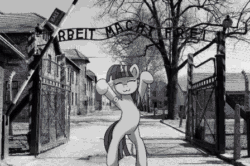 Size: 448x298 | Tagged: safe, artist:anticular, edit, editor:drtoughlove, imported from twibooru, twilight sparkle, pony, unicorn, ask sunshine and moonbeams, :3, animated, armband, auschwitz, banned from derpibooru, bipedal, black and white, caramelldansen, dancing, eyes closed, female, gif, grayscale, mare, monochrome, nazi, solo, swastika, twibooru exclusive, unicorn twilight, we are going to heil