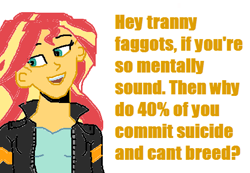 Size: 494x341 | Tagged: safe, imported from twibooru, sunset shimmer, 41%, meme, text, zimbabwe