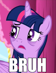 Size: 691x897 | Tagged: safe, edit, edited screencap, imported from twibooru, screencap, twilight sparkle, alicorn, bags under eyes, bruh, png, reaction image, tired, twilight sparkle (alicorn)