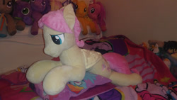 Size: 1024x576 | Tagged: safe, artist:ponylover88, imported from twibooru, fluttershy, butterscotch, image, needs more jpeg, plushie, rule 63