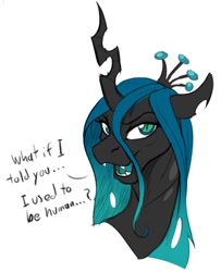 Size: 785x966 | Tagged: safe, artist:acesential, artist:tf-sential, imported from ponybooru, queen chrysalis, post tf, transformation