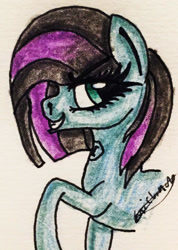 Size: 1246x1749 | Tagged: safe, artist:beamybutt, imported from derpibooru, oc, oc only, earth pony, pony, earth pony oc, eyelashes, female, grin, mare, raised hoof, signature, smiling, traditional art