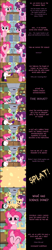 Size: 2000x9684 | Tagged: safe, artist:mlp-silver-quill, imported from derpibooru, pinkie pie, sugar belle, earth pony, pony, unicorn, comic:pinkie pie says goodnight, apple, clothes, comic, dee dee, dexter, dexter's laboratory, dialogue, duo, female, food, fourth wall, looking at you, mare, pie, science, sweet apple acres, talking to viewer, what has science done