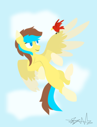 Size: 3050x3983 | Tagged: safe, artist:samsailz, imported from derpibooru, oc, oc only, bird, pegasus, pony, cloud, cute, flying, high res, lineless, pegasus oc, sky, smiling, solo, wings