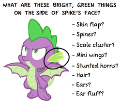 Size: 1156x990 | Tagged: artist needed, safe, edit, edited screencap, imported from derpibooru, screencap, spike, dragon, molt down, background removed, male, not a vector, question, simple background, solo, text, white background, winged spike, wings