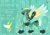 Size: 3500x2454 | Tagged: safe, artist:nobleclay, imported from derpibooru, pegasus, pony, colored wings, feathered fetlocks, high res, magical gay spawn, male, multicolored wings, offspring, parent:thunderlane, parent:zephyr breeze, parents:zephyrlane, reference sheet, solo, stallion, wings