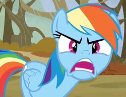 Size: 814x630 | Tagged: safe, edit, edited screencap, imported from derpibooru, screencap, rainbow dash, pegasus, pony, season 5, tanks for the memories, angry, cropped, female, looking at you, mare, open mouth, ragebow dash, rainbow dash is best facemaker, solo, teeth