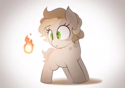 Size: 2048x1446 | Tagged: safe, artist:mochi_nation, imported from derpibooru, oc, oc only, oc:flame cookies, earth pony, pony, earth pony oc, female, fire, mare, pyrokinesis, solo