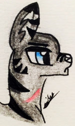 Size: 1093x1832 | Tagged: safe, artist:beamybutt, imported from derpibooru, oc, oc only, pony, wolf, wolf pony, bust, signature, solo, traditional art