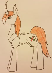 Size: 2469x3490 | Tagged: safe, artist:agdapl, imported from derpibooru, oc, oc only, pony, unicorn, female, high res, horn, mare, signature, solo, traditional art, unicorn oc