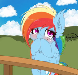 Size: 3649x3499 | Tagged: safe, artist:freefraq, imported from derpibooru, rainbow dash, pegasus, pony, backwards cutie mark, bipedal, blushing, cheek fluff, chest fluff, cute, dashabetes, ear fluff, female, fence, fluffy, happy, high res, looking at you, mare, simple background, smiling, solo, weapons-grade cute