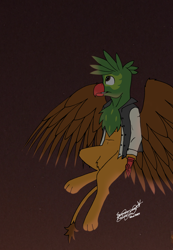 Size: 6814x9834 | Tagged: safe, artist:summerium, imported from derpibooru, oc, oc only, oc:kalimu, griffon, absurd file size, absurd resolution, beak, clothes, flying, griffon oc, looking up, male, night, night sky, sky, smiling, solo, talons, wings