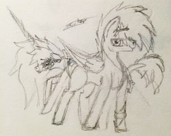 Size: 2381x1896 | Tagged: safe, artist:beamybutt, imported from derpibooru, oc, oc only, pegasus, pony, unicorn, duo, horn, lineart, pegasus oc, signature, smiling, traditional art, unicorn oc, wings