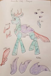 Size: 2663x3914 | Tagged: safe, artist:agdapl, imported from derpibooru, pharynx, changedling, changeling, high res, male, prince pharynx, reference sheet, signature, solo, traditional art