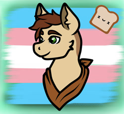 Size: 1000x920 | Tagged: safe, artist:deathtoaster, imported from derpibooru, oc, oc only, pony, bandana, pride, pride flag, solo, transgender pride flag